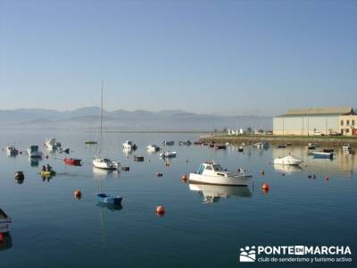 Marismas de Santoña (visita Ornitológica); excursiones por la pedriza; visitas alrededor de madrid